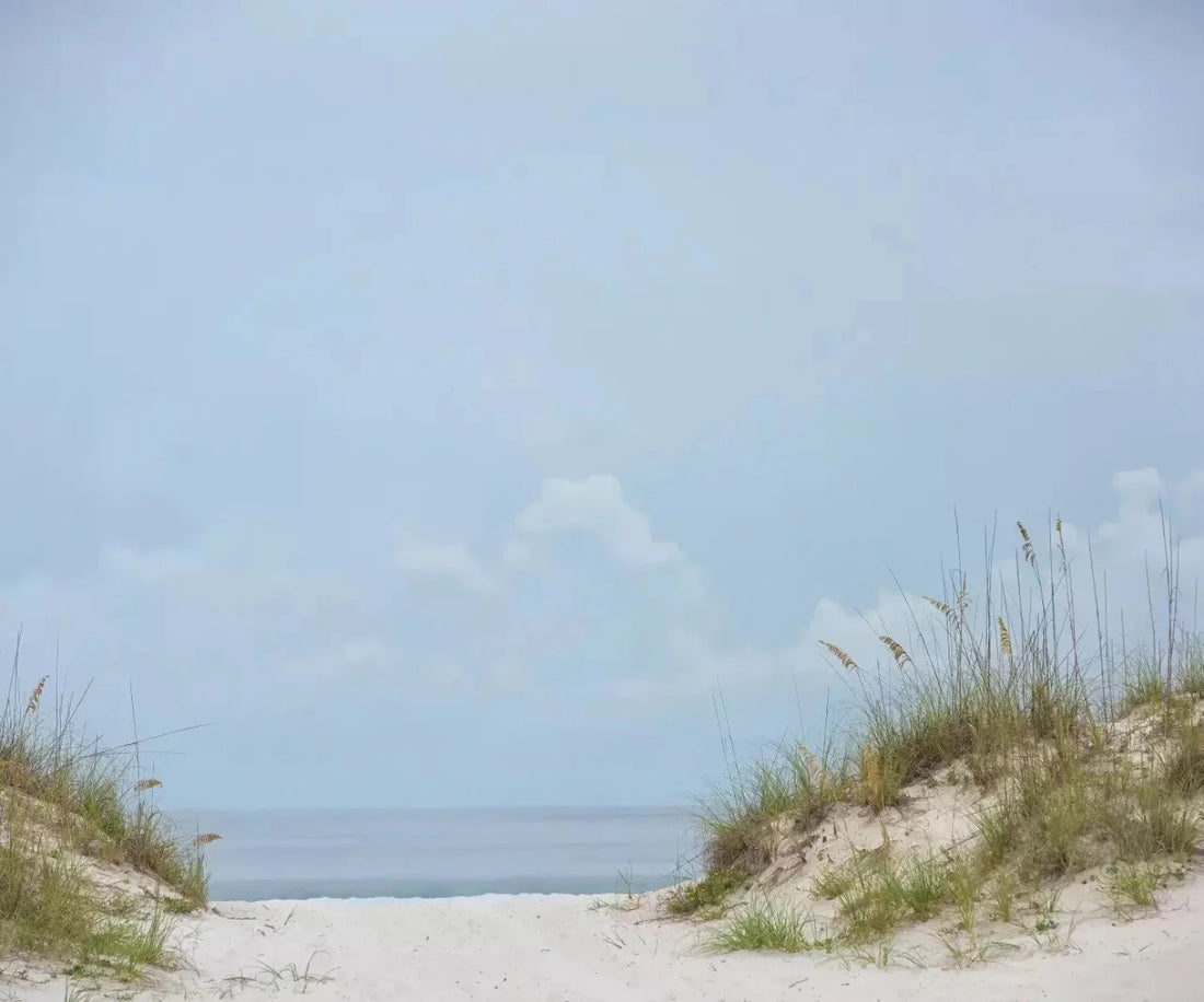 Blue Summer Backdrop for Photography