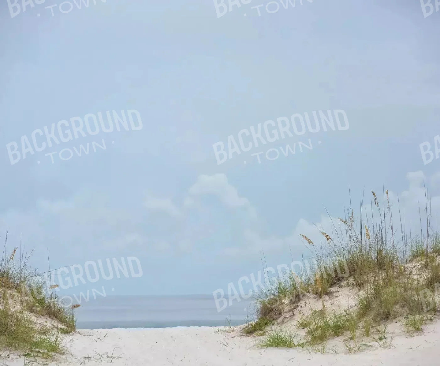 Blue Summer Backdrop for Photography