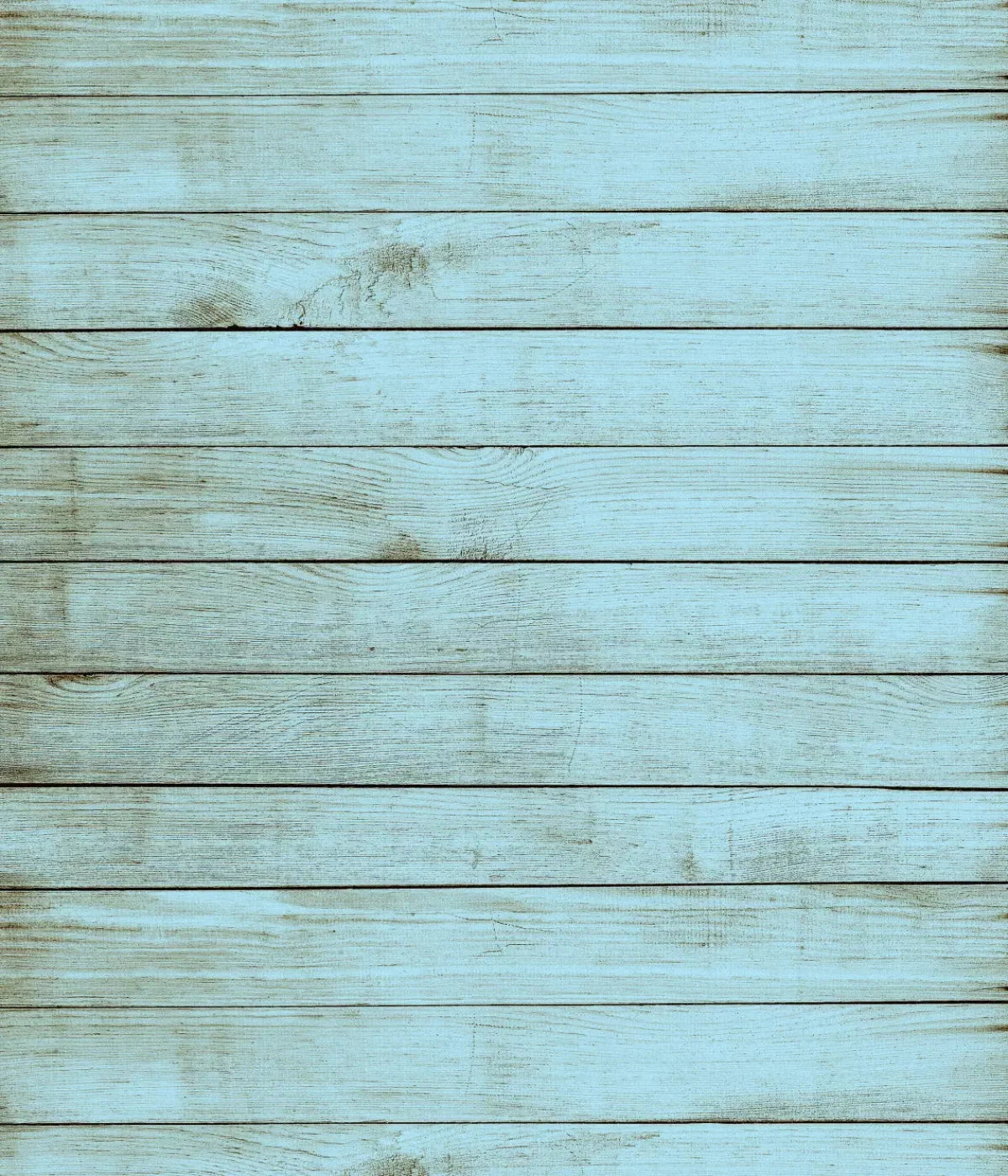 Beach House 10X12 Ultracloth ( 120 X 144 Inch ) Backdrop