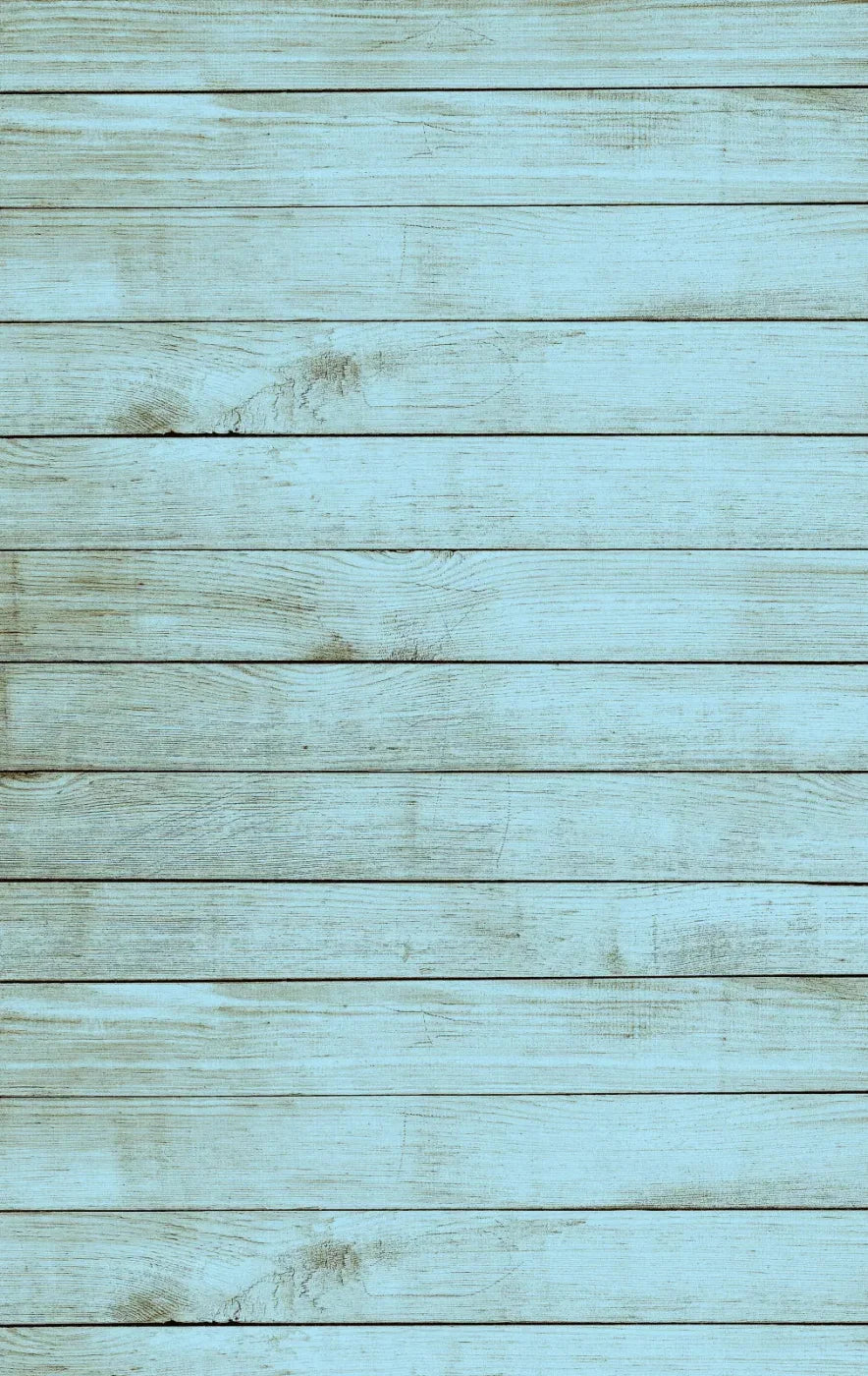 Beach House 10X16 Ultracloth ( 120 X 192 Inch ) Backdrop