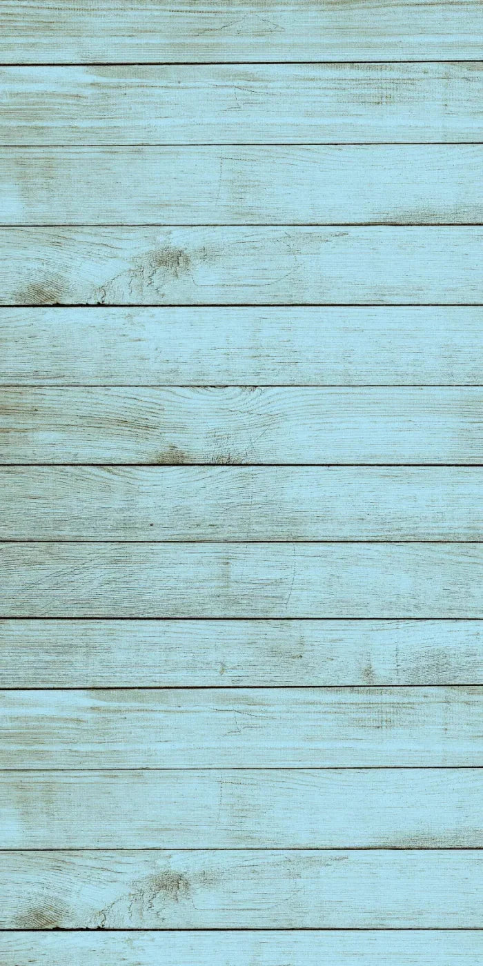 Beach House 10X20 Ultracloth ( 120 X 240 Inch ) Backdrop