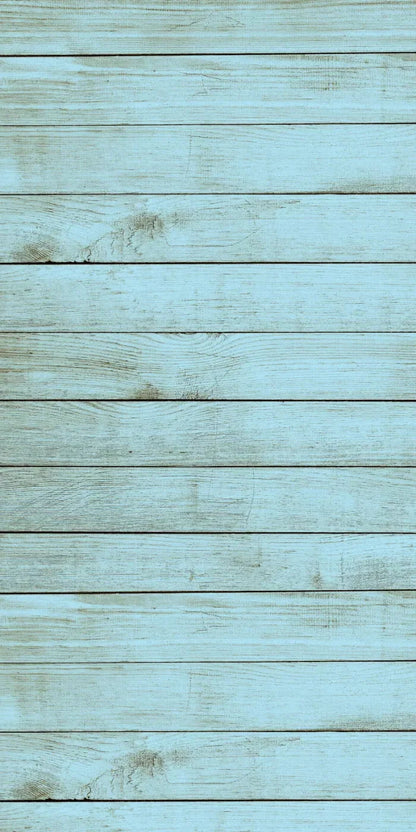 Beach House 10X20 Ultracloth ( 120 X 240 Inch ) Backdrop