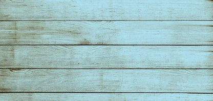 Beach House 16X8 Ultracloth ( 192 X 96 Inch ) Backdrop