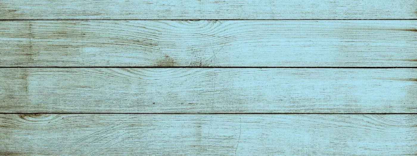 Beach House 20X8 Ultracloth ( 240 X 96 Inch ) Backdrop