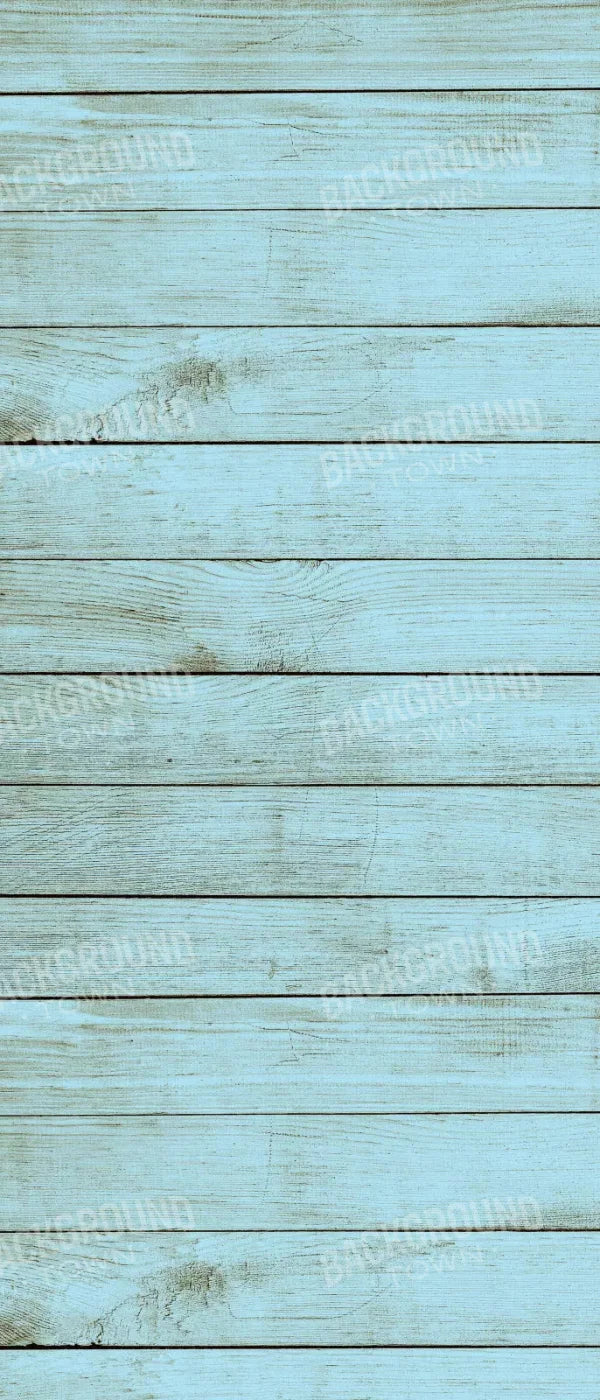 Beach House 5X12 Ultracloth For Westcott X-Drop ( 60 X 144 Inch ) Backdrop