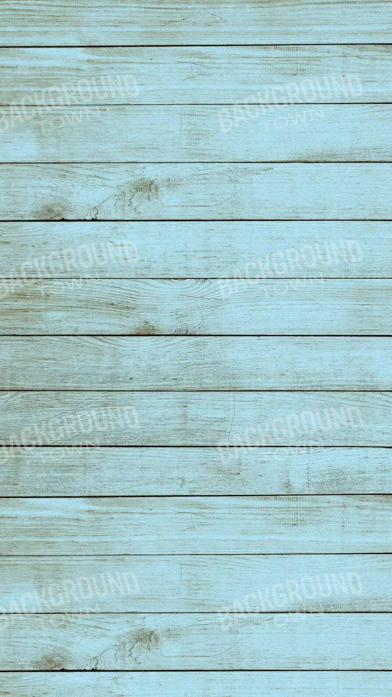 Beach House 8X14 Ultracloth ( 96 X 168 Inch ) Backdrop