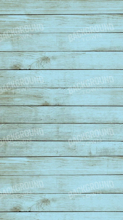 Beach House 8X14 Ultracloth ( 96 X 168 Inch ) Backdrop