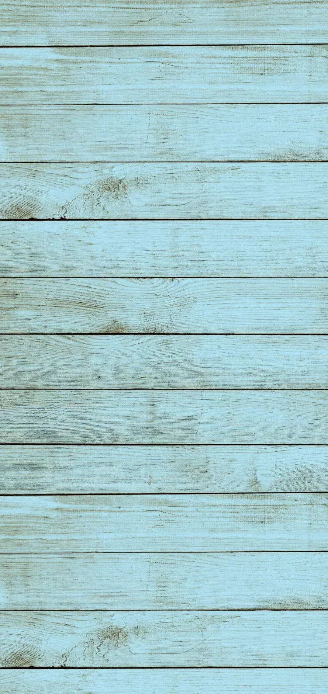 Beach House 8X16 Ultracloth ( 96 X 192 Inch ) Backdrop