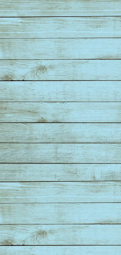 Beach House 8X16 Ultracloth ( 96 X 192 Inch ) Backdrop