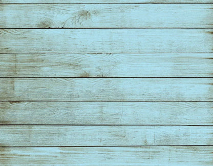 Beach House 8X6 Fleece ( 96 X 72 Inch ) Backdrop