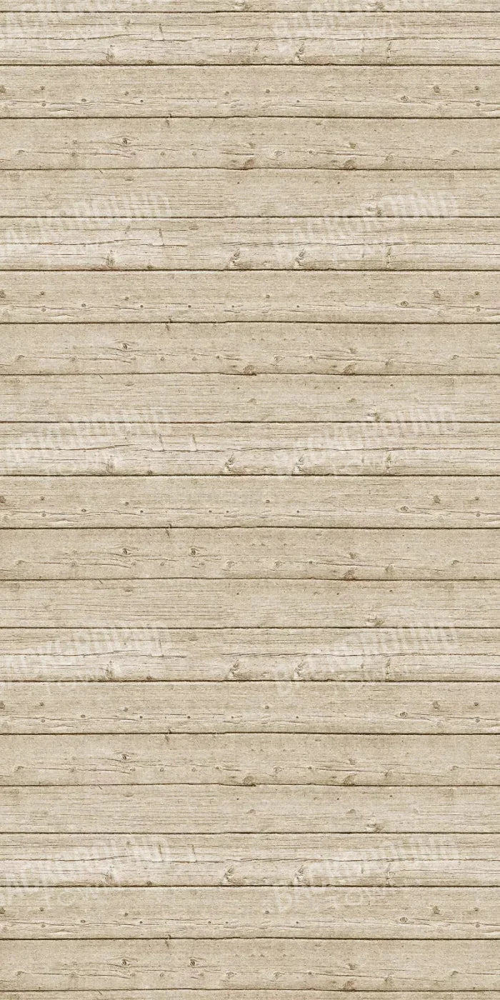 Beach Walk 10X20 Ultracloth ( 120 X 240 Inch ) Backdrop