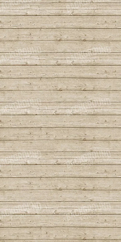 Beach Walk 10X20 Ultracloth ( 120 X 240 Inch ) Backdrop