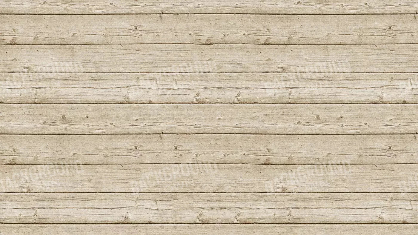 Beach Walk 14X8 Ultracloth ( 168 X 96 Inch ) Backdrop