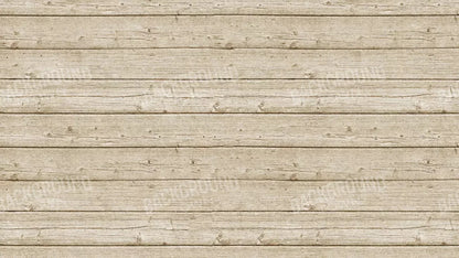 Beach Walk 14X8 Ultracloth ( 168 X 96 Inch ) Backdrop