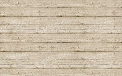 Beach Walk 14X9 Ultracloth ( 168 X 108 Inch ) Backdrop