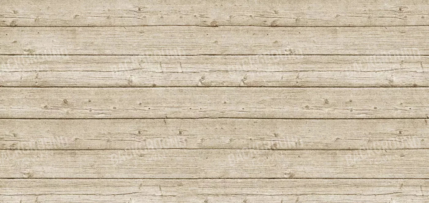 Beach Walk 16X8 Ultracloth ( 192 X 96 Inch ) Backdrop