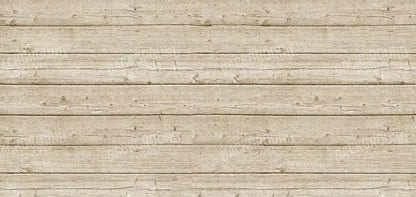 Beach Walk 16X8 Ultracloth ( 192 X 96 Inch ) Backdrop