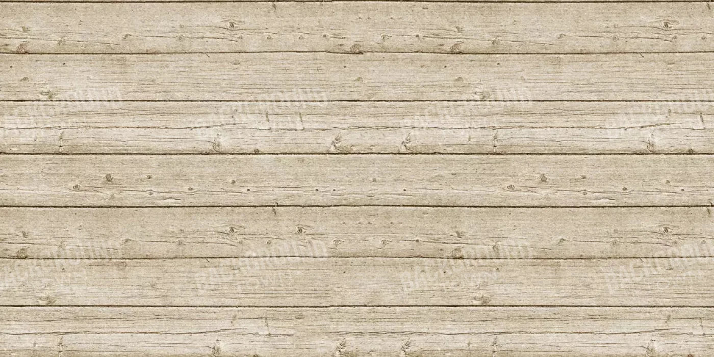 Beach Walk 20X10 Ultracloth ( 240 X 120 Inch ) Backdrop