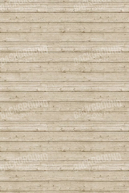 Beach Walk 5X8 Ultracloth ( 60 X 96 Inch ) Backdrop