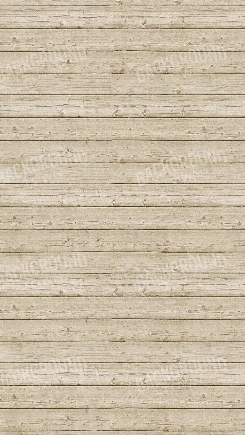 Beach Walk 8X14 Ultracloth ( 96 X 168 Inch ) Backdrop