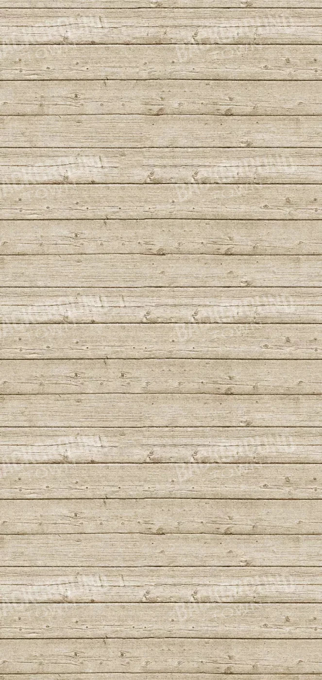 Beach Walk 8X16 Ultracloth ( 96 X 192 Inch ) Backdrop