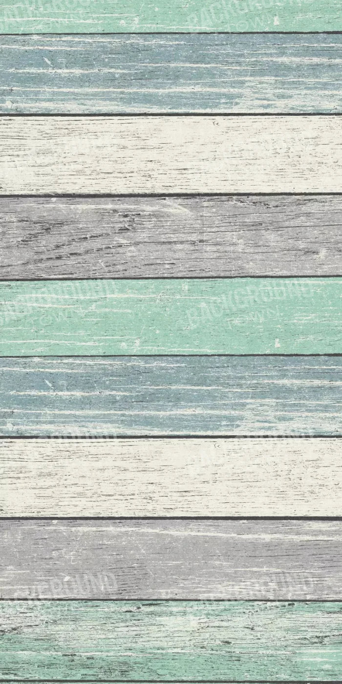 Beached 10X20 Ultracloth ( 120 X 240 Inch ) Backdrop