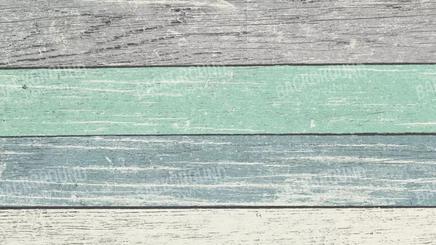 Beached 14X8 Ultracloth ( 168 X 96 Inch ) Backdrop