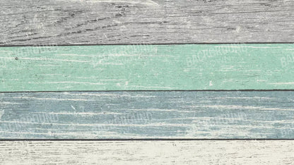 Beached 14X8 Ultracloth ( 168 X 96 Inch ) Backdrop