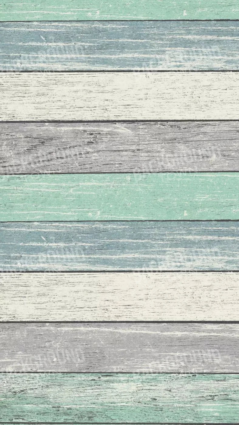 Beached 8X14 Ultracloth ( 96 X 168 Inch ) Backdrop