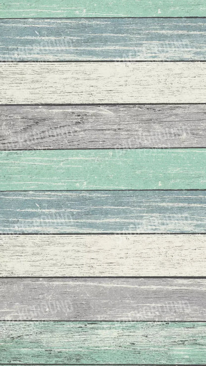 Beached 8X14 Ultracloth ( 96 X 168 Inch ) Backdrop