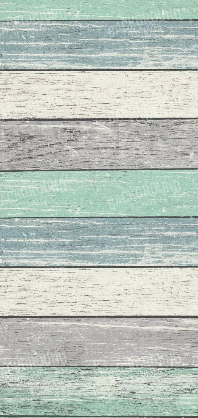 Beached 8X16 Ultracloth ( 96 X 192 Inch ) Backdrop
