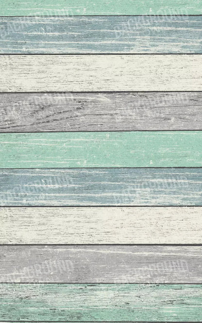 Beached 9X14 Ultracloth ( 108 X 168 Inch ) Backdrop