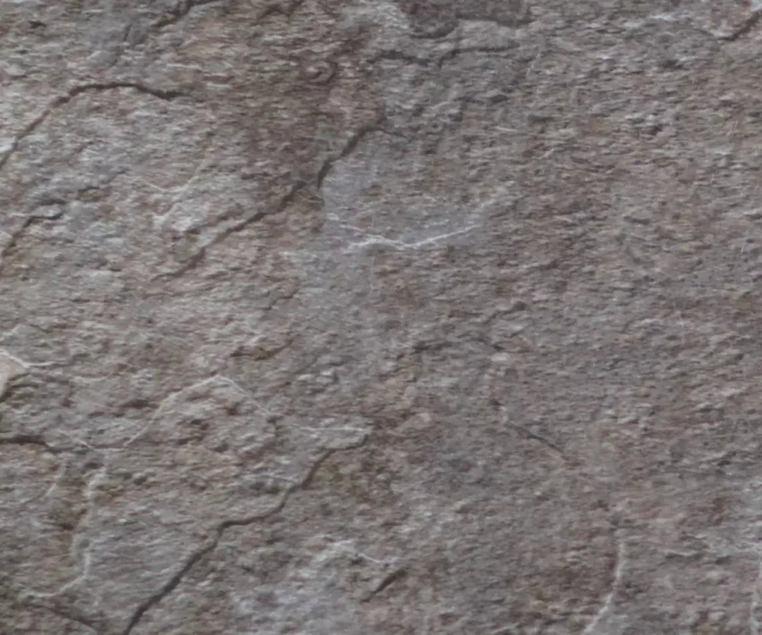 Beaker 5X42 Fleece ( 60 X 50 Inch ) Backdrop