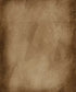 Brown Vignette Backdrop for Photography