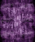 Purple Textured Backdrop for Photography