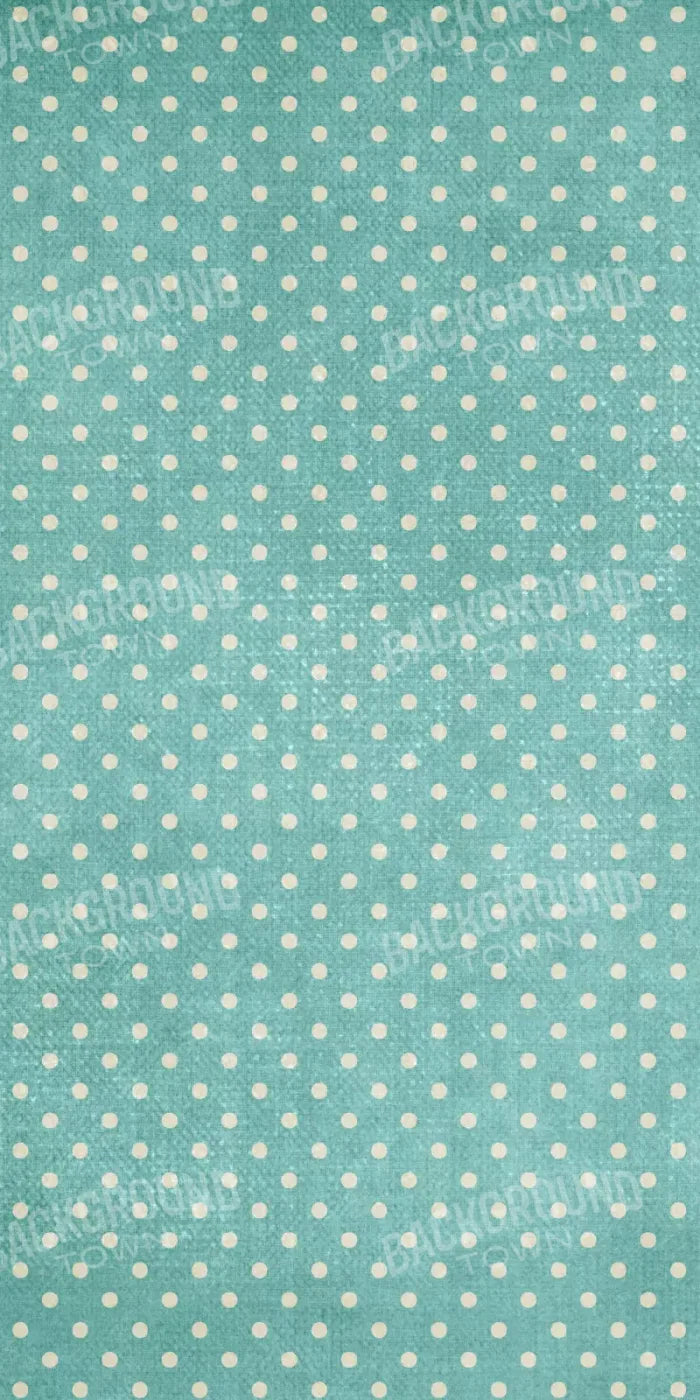 Becky 10X20 Ultracloth ( 120 X 240 Inch ) Backdrop
