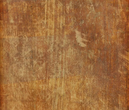 Behold 12X10 Ultracloth ( 144 X 120 Inch ) Backdrop