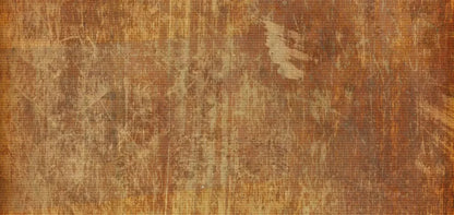 Behold 16X8 Ultracloth ( 192 X 96 Inch ) Backdrop