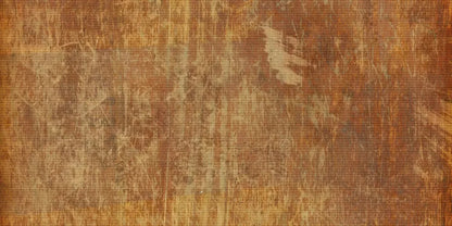 Behold 20X10 Ultracloth ( 240 X 120 Inch ) Backdrop