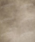 Beige Classic and Masters Backdrop for Photography