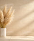 Beige Brown  Backdrop for Photography