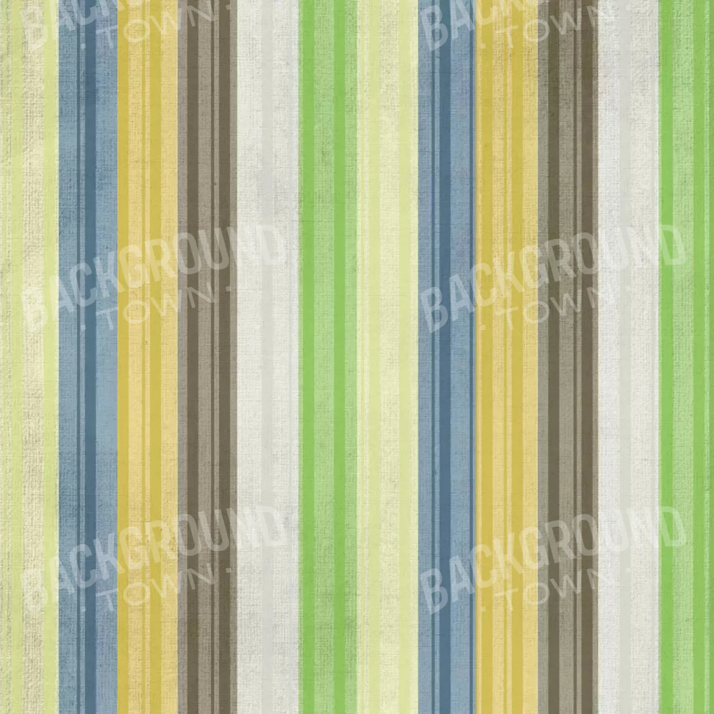 Benjamin 10X10 Ultracloth ( 120 X Inch ) Backdrop