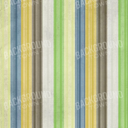Benjamin 10X10 Ultracloth ( 120 X Inch ) Backdrop