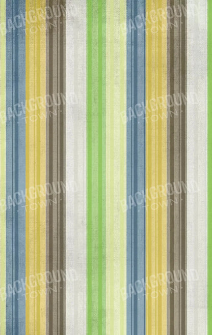 Benjamin 10X16 Ultracloth ( 120 X 192 Inch ) Backdrop