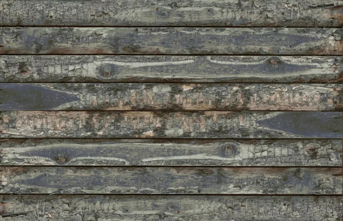 Benjamen 12X8 Ultracloth ( 144 X 96 Inch ) Backdrop