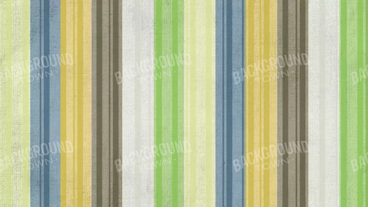 Benjamin 14X8 Ultracloth ( 168 X 96 Inch ) Backdrop
