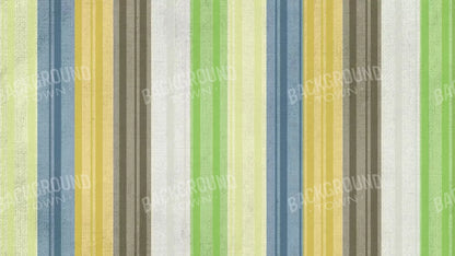 Benjamin 14X8 Ultracloth ( 168 X 96 Inch ) Backdrop