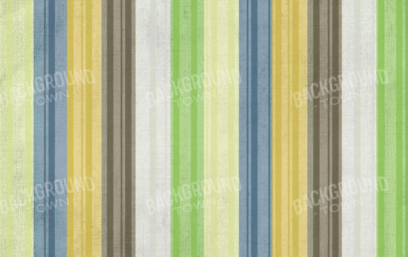 Benjamin 16X10 Ultracloth ( 192 X 120 Inch ) Backdrop