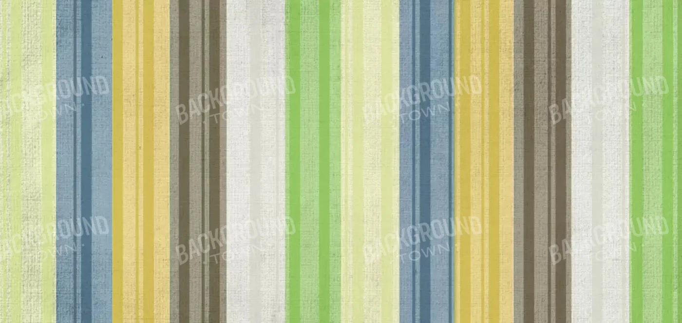 Benjamin 16X8 Ultracloth ( 192 X 96 Inch ) Backdrop