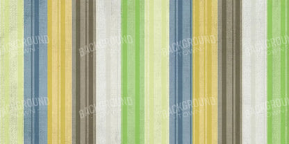 Benjamin 20X10 Ultracloth ( 240 X 120 Inch ) Backdrop